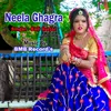 About Neela Ghagra Song